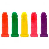 Protese 19 X 5 cm Colors Kgel